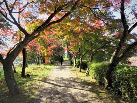 �������ӡ���ߤ����ƻ