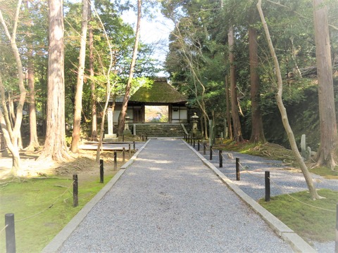 ⓪ˡ�����γ����λ���