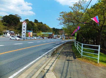 �Х���α�꤫�黲ƻ������򸫤�