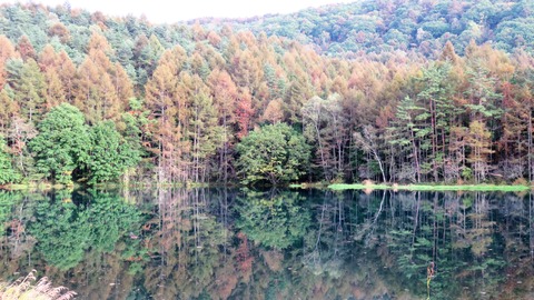 6¡¦¥ß¥é¡¼¥ì¥¤¥¯¤Ç¤¹