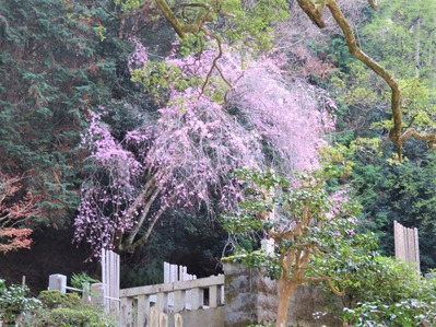 ˡ���������Ϥ�Ω�Ļ޿���޿��