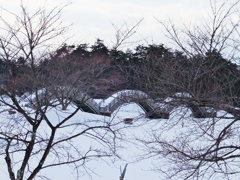 10����Ԥ�ݤä��礬�Ͷ�