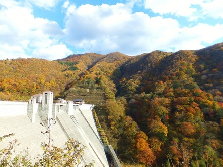 ����ȹ���