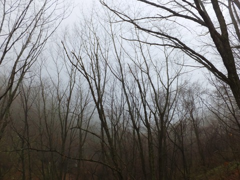 ī������