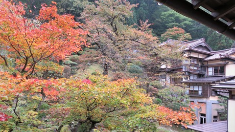 1��ɴ��δ֤������ι�ۤ������ι���