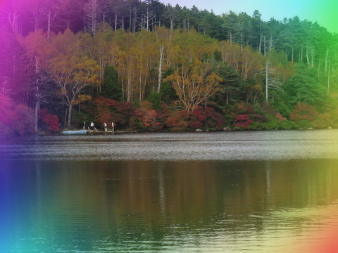 3¡¦¸¸ÁÛŪ¡¦¡¦¡¦¤³¤ì¤â¹ÈÍÕ