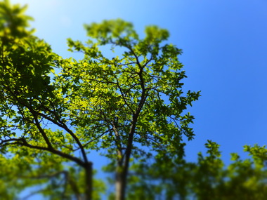 ��ŷ���ǹ�Ǥ���