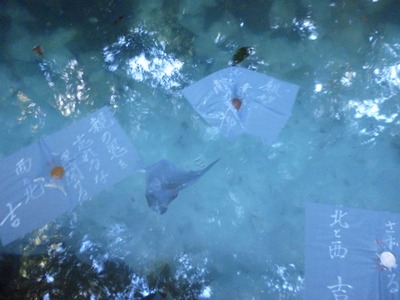 Ȭ�ų����ҡ������ӱ��ꤤ