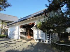 ��л���������