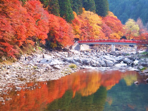 ���դ˿줦�Ѹ���