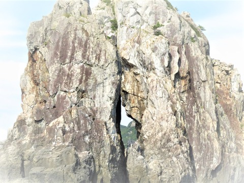 ´Ñ²»´ä¤òÇÁ¤¯µð´ä