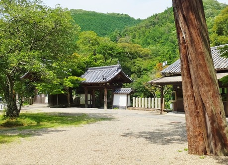 8���޽��㤫�黳���