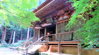 12����Ʋ�򱦼Фᤫ��