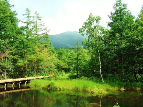 �����弫���������ʻ���˾��