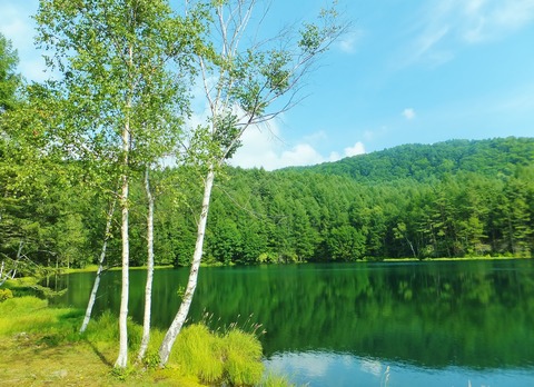 �Ķ��β�����ͼ���