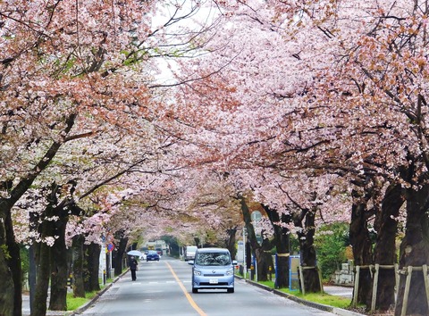 4�������¿�����κ�����