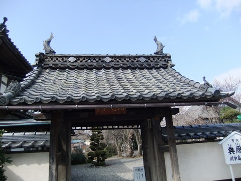 ŵ��������