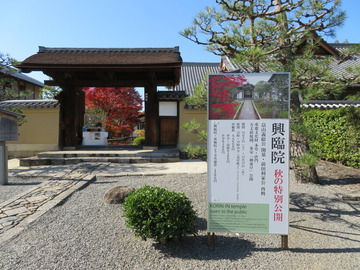 ���������ױ����������̸���