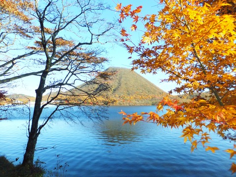 ���ʤβ��դϻĤäƤ��ޤ�