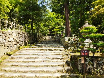 ������ŷ��ؤΤܤ�����