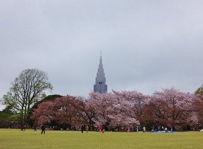 1��2015ǯ�ο��ɸ��βָ�