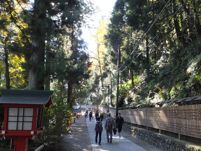 8���������ؤ�ƻ