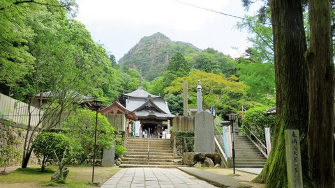 8¡¦½÷Â볤ÈËÜÆ²