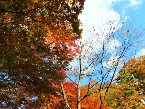 �ϼ������