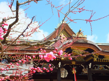 北野天満宮と紅梅