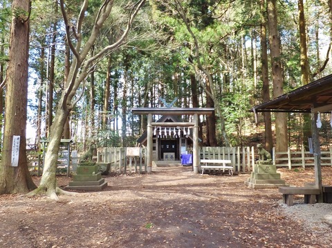 4�����л����Ҥ���°���������ú¤������