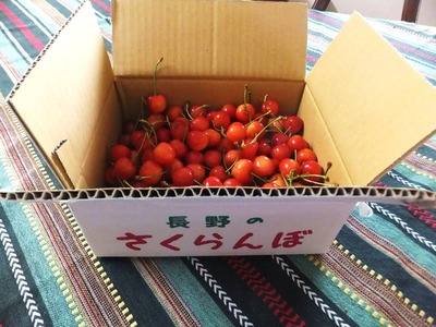 ƣ�����फ���Ϥ�����������