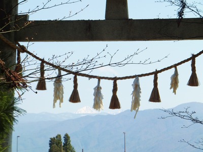 »²Æ»¤«¤éÄ»µï¤ÎÈàÊý¤ËË̳٤¬¸«¤¨¤ë