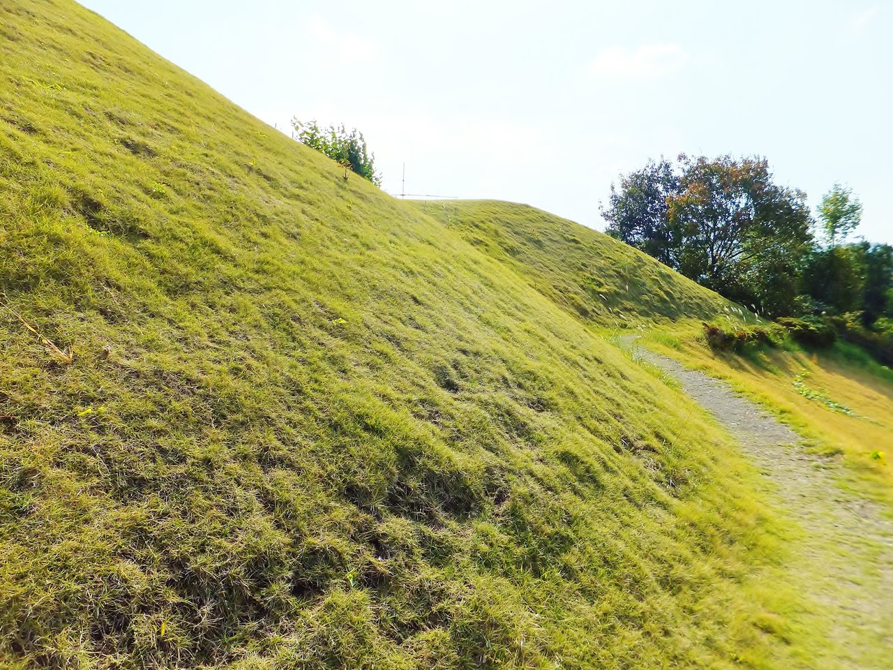 彦左の正眼 王家の谷 善通寺 有岡古墳群を歩く 王墓山古墳