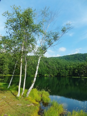 ���Τ�������