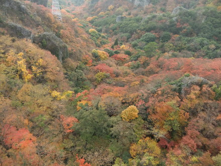 �����ס�����������