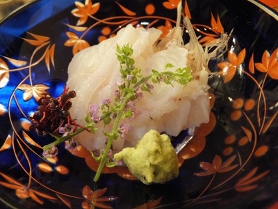 ¡É¤¢¤³¤¦¡É¤ÎÀö¤¤¤Ç¤¹