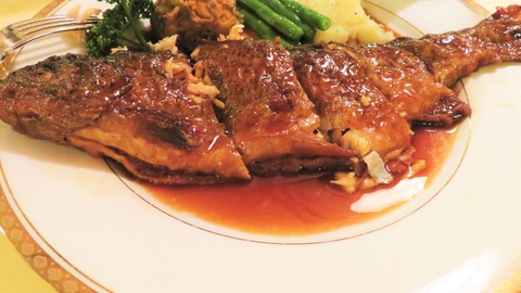 14����������Υ��ơ�����ë��