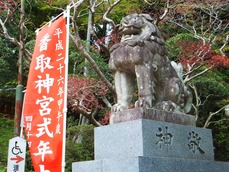 �����ι���