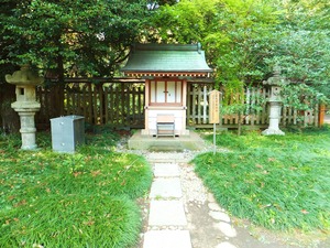 ���ҡ������Ἣ����