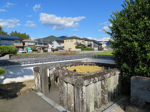 ��˶��ݽ����ΰ��