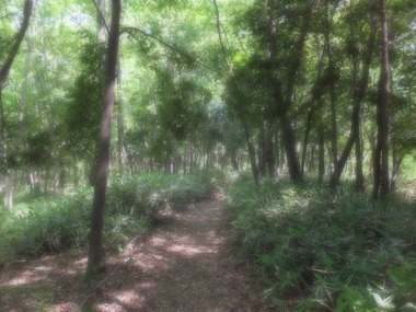 ��ϳ�����η�