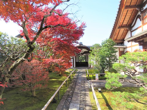 ���������ױ�����������