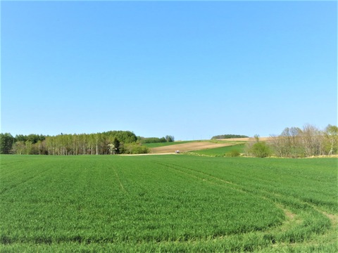 Ë̳¤Æ»¤Î·Ê¿§