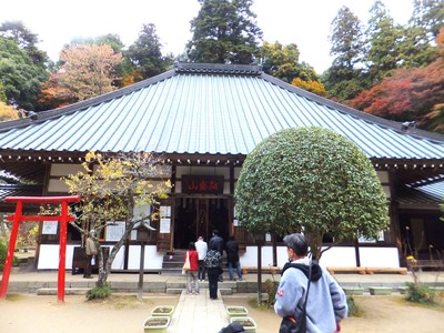 ���ѻ���Ʋ