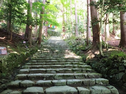 �������β��礫��ޤä������ʤ򾺤����Ʋ���г�