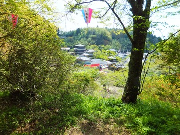 ���áʎ��Ҏ��ގ��˻���������ˤʤ���ڻ����򸫲�����