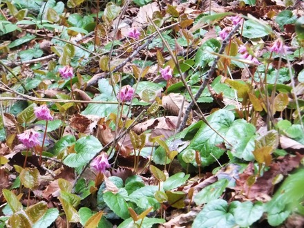 ���參���߷���