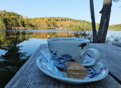 7�������Υ����ҡ��򤤤������ޤ���