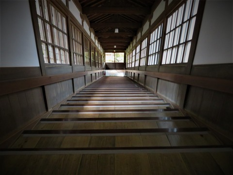 ����ʿ����Ĺ�����ʤ򲼤�