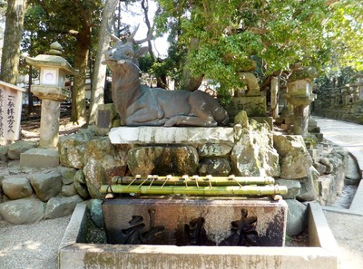 ������Ҥμ��μ���